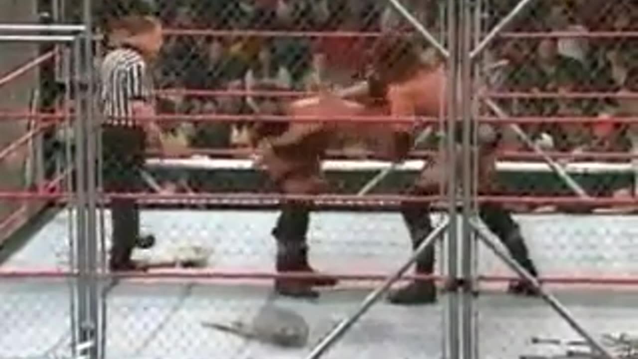 wrestling video