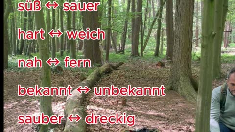 Deutsch (Adjektive mit Gegenteilen) Teil 4