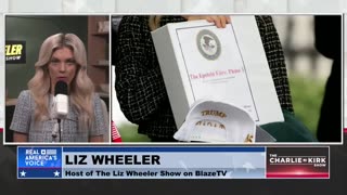 Are We Being Gaslit By Our Government About the Epstein Files?
