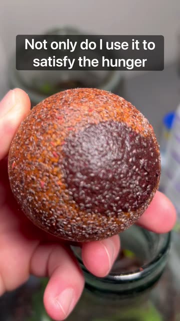 The Almighty Springtail Corkball