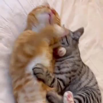 Adorable couple.. 😂