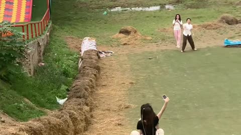 Funny life