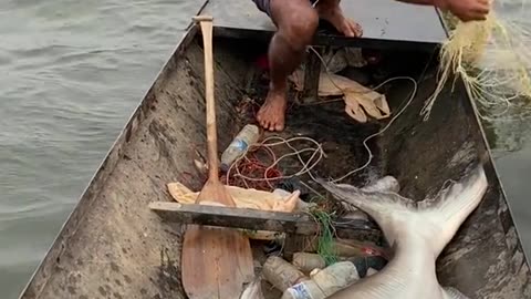 এইটা কি মাছ? 🐬🌊🐋😮#vairal #vairal_video_tiktok