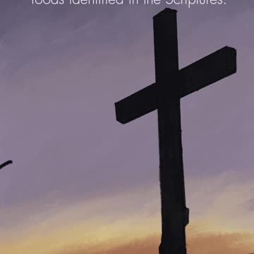 What We Believe 22: Christian Behavior