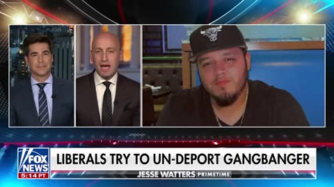 Stephen Miller sets the record straight on deportation of alleged MS-13 gang member