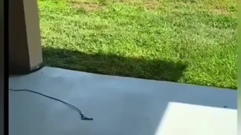 You better run 🤣