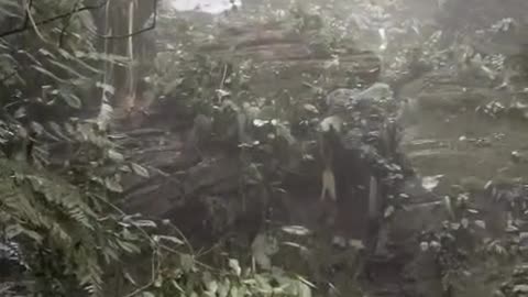 ACCIDENTE DE LEONARDO SILVA FLORES