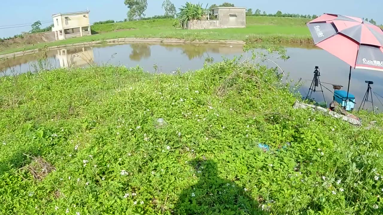 Bullhead Trap Fishing in Muddy Lake Shores