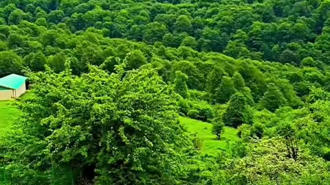 روستای نورالعرش رودبار