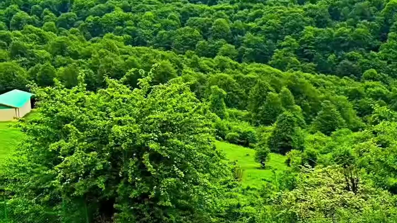روستای نورالعرش رودبار