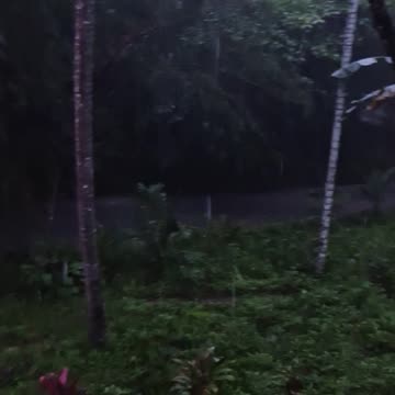 Night Rain on the Farm 🌧️🇵🇭 Expat in the Philippines