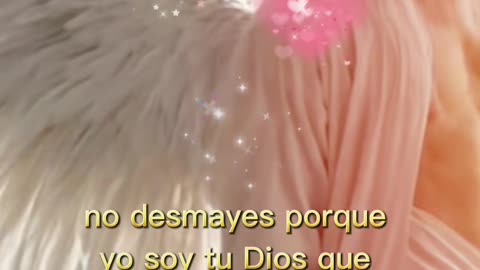 REFLEXIÓN ✨️