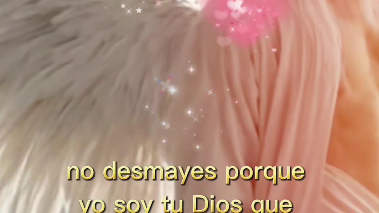 REFLEXIÓN ✨️