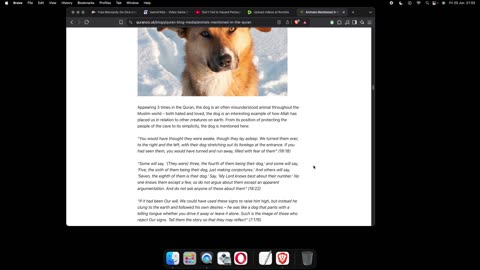 Animals Mentioned in the Quran