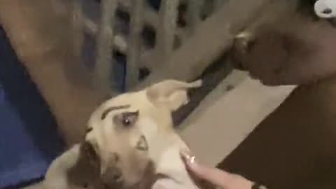 It's cute or not?