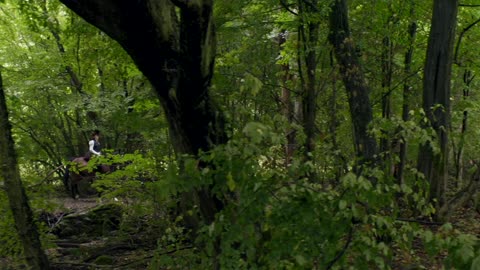Kincsem { 2017, 1080p, Magyar Film. }