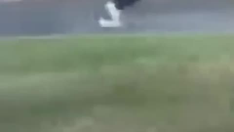 Phone Thief Ran Down