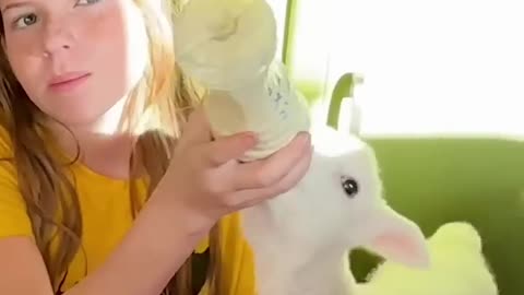 Most Kids Don't Know Where Food Comes From