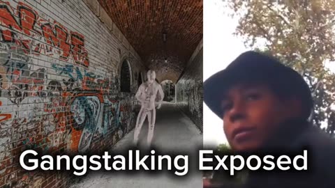 📢GANGSTALKING EXPOSED: A Perp Tells Secrets They Don't Want You To Know - Reloaded from Chronicles of a Chosen