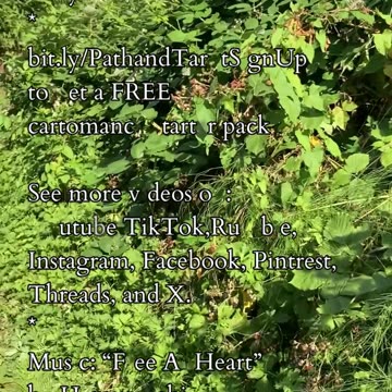 Embracing Darkness | Path and Tarot Reading