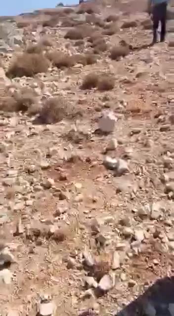 Israeli occupation army stormed the town of Beit Jinn in the western Damascus