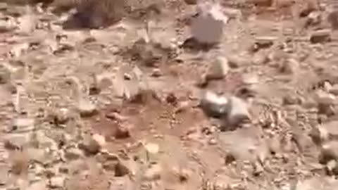Israeli occupation army stormed the town of Beit Jinn in the western Damascus