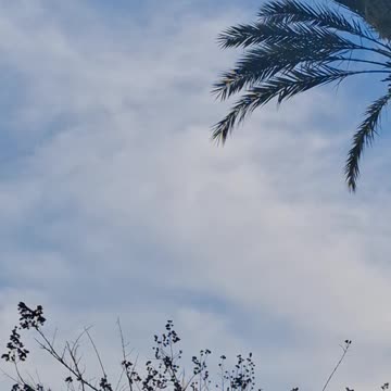 Fresh Market Sky 📉📉