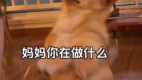 📹 Trending Chinese Viral Videos | Funny, Emotional & Shocking Moments