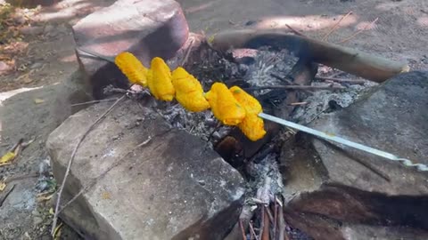 cooking grilled chicken wings in a peaceful forest