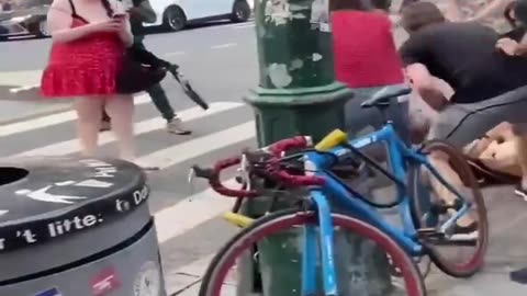 NYC dog attack