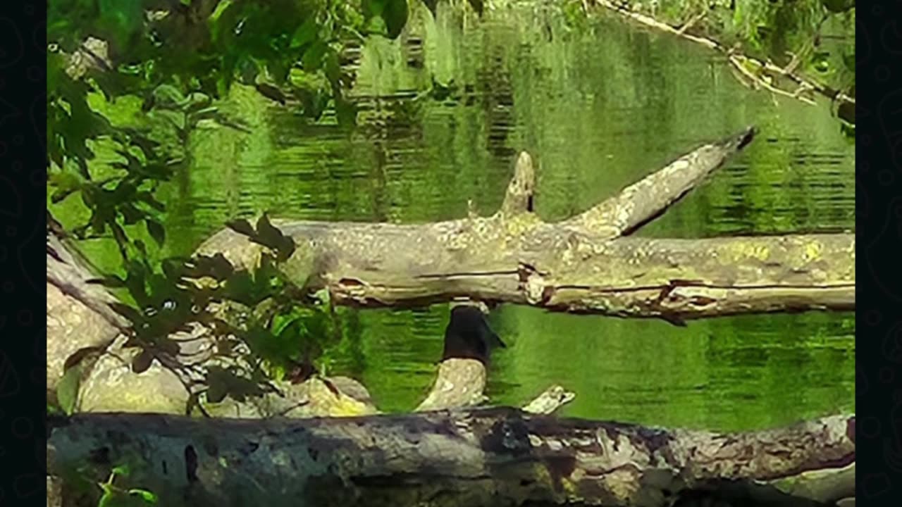 Prophecy: These are the things to come!!