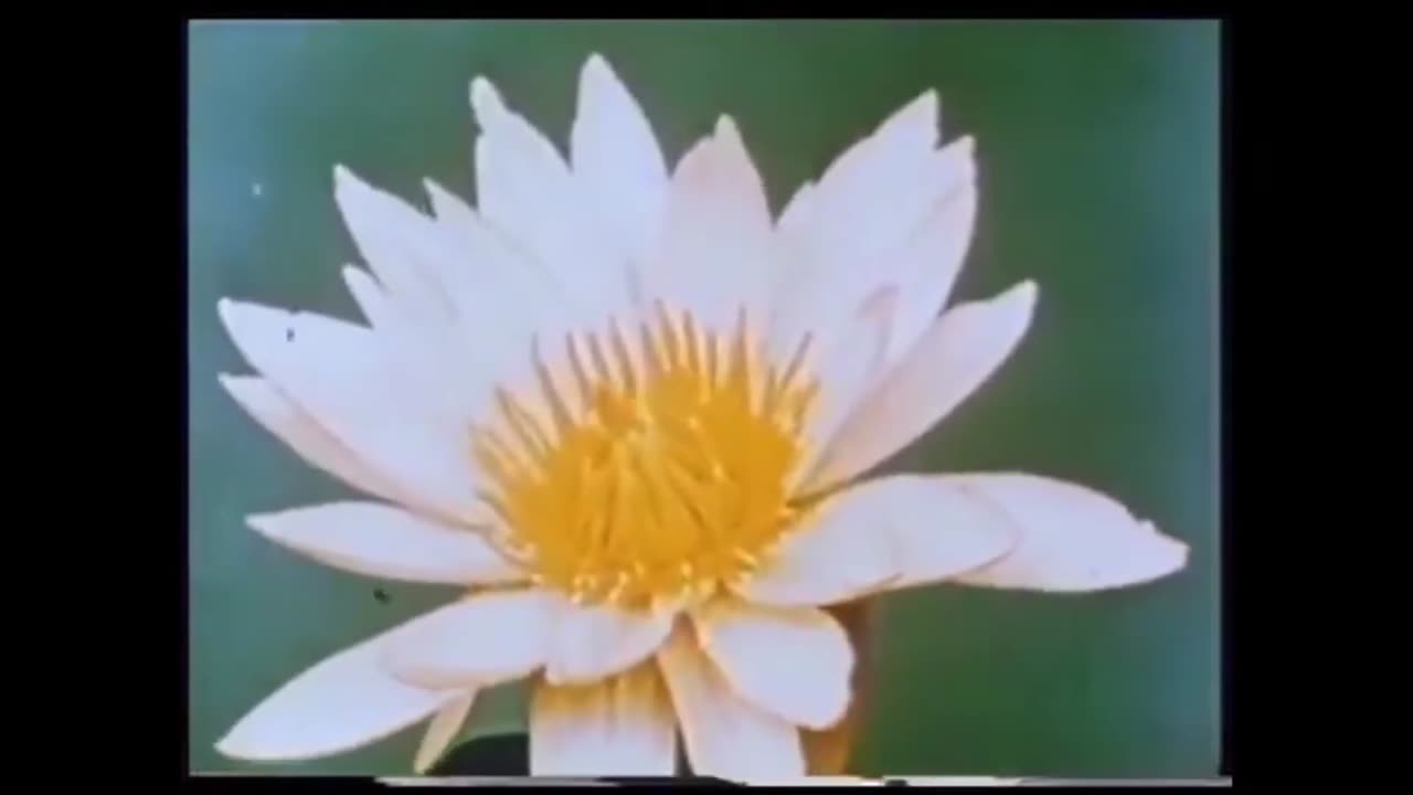 FUTURE EXCESSORIES | The Documentary (AI, Education, Posthumanity, the Myth of Progress & Democracy)