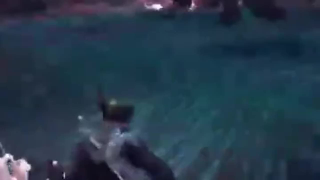 McDicken. Monster Hunter? Look he's happy.