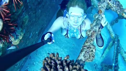 Under the sea is crazy.
