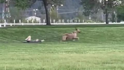 Did they walk the dog… or did the dog walk them? 😜🐕