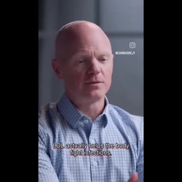 Truth About Cholesterol | Dr Ben Bikman