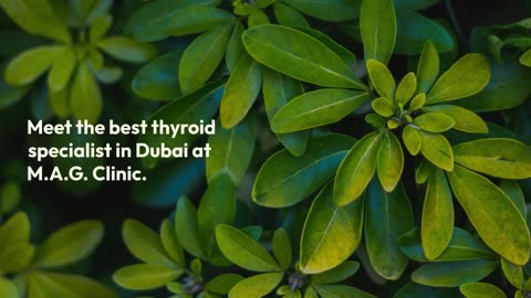 Meet the Best Thyroid Specialist in Dubai at MAG Clinic Today
