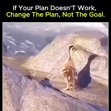 If The Plan Fails, Change It—Not The Goal! 💪🔥