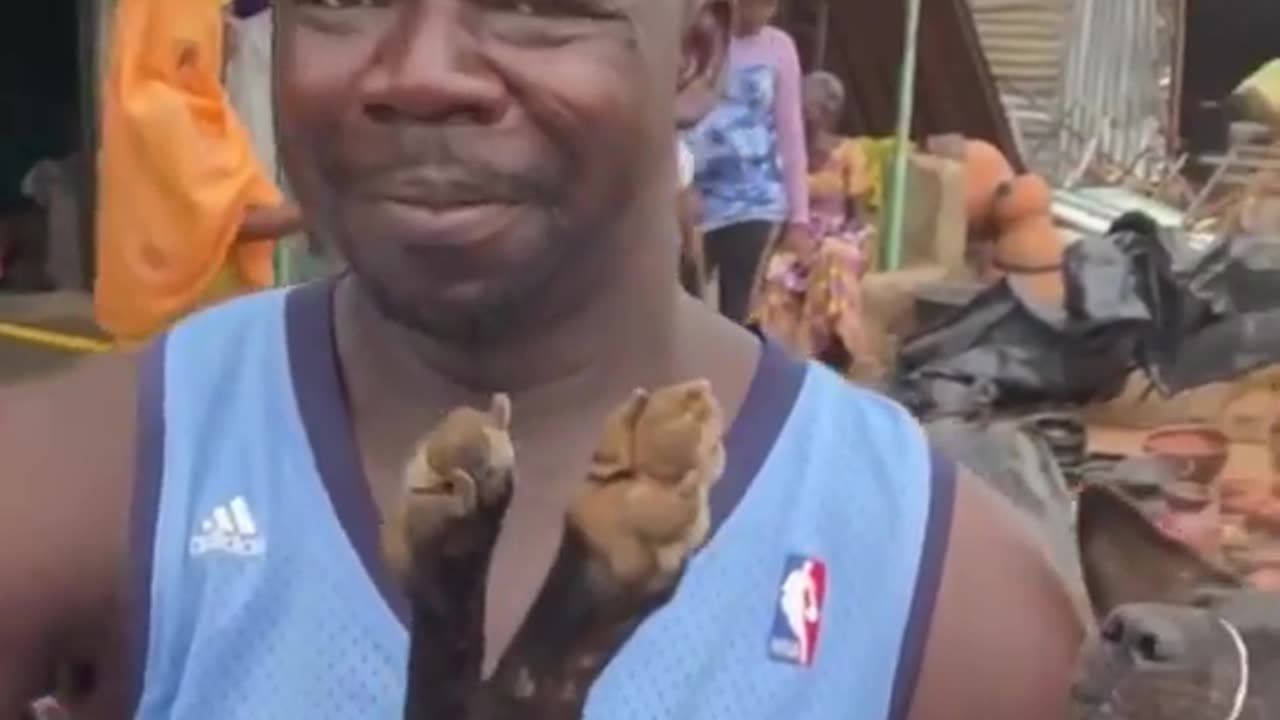 TRUMP WAS ONLY RIGHT ABOUT THE NIGGERS EATING DOGS AND CATS