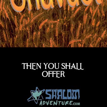 Rabbi Jeff Zaremsky on the Connection Between Passover and Shavuot #Shorts #RabbiJeffZaremsky