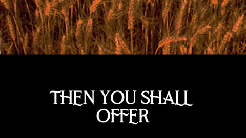 Rabbi Jeff Zaremsky on the Connection Between Passover and Shavuot #Shorts #RabbiJeffZaremsky