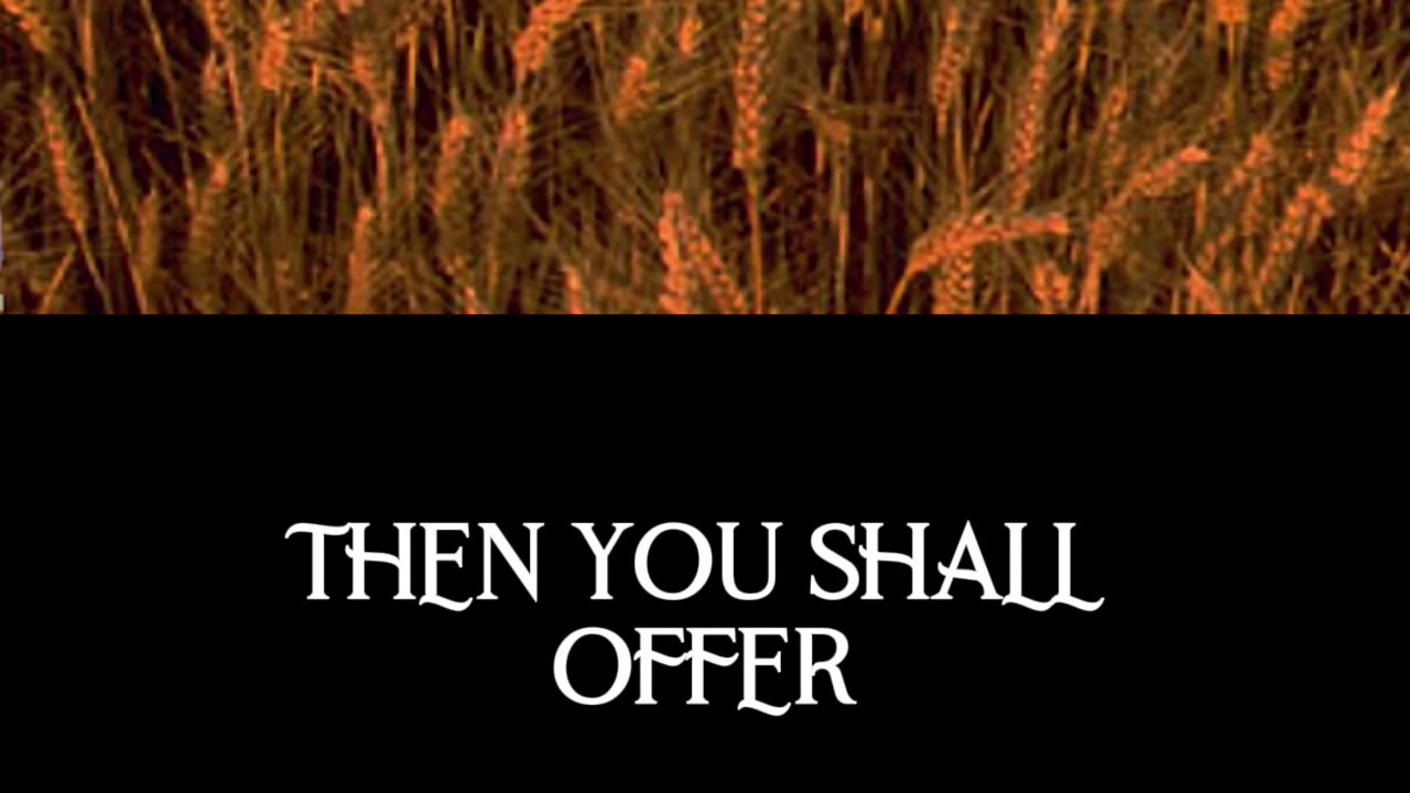 Rabbi Jeff Zaremsky on the Connection Between Passover and Shavuot #Shorts #RabbiJeffZaremsky