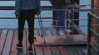 😂💧 My Water People Need Me! | FunFM