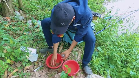 Köder und Freiheit Angeln im Fluss #Süßwasserangeln #Fischabenteuer #Outdoor