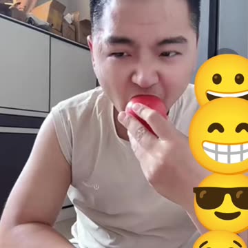 Funny Animals videos