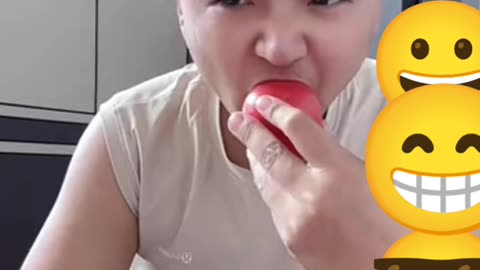 Funny Animals videos