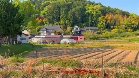 日本風景 Thiên nhiên Nhật Bản 7 17092025