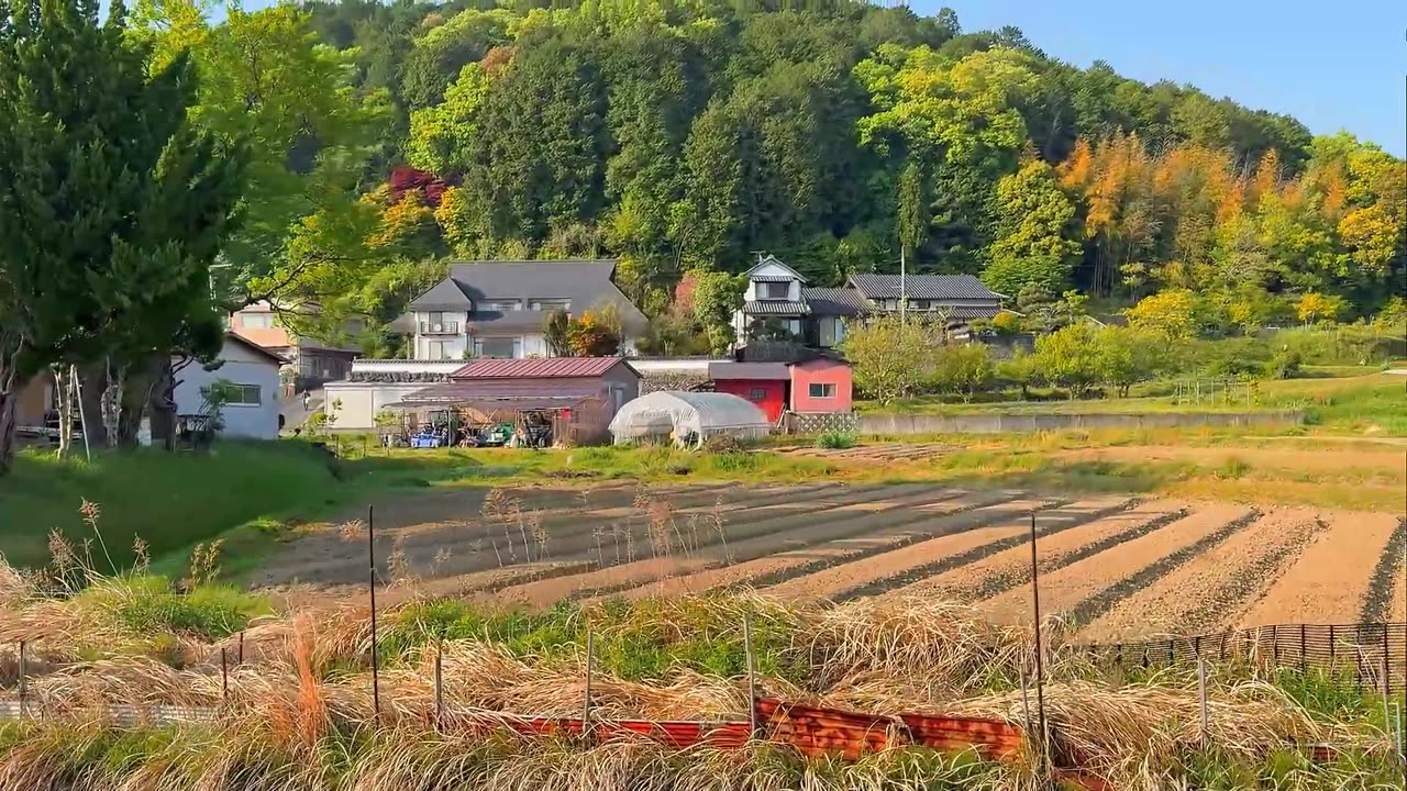 日本風景 Thiên nhiên Nhật Bản 7 17092025