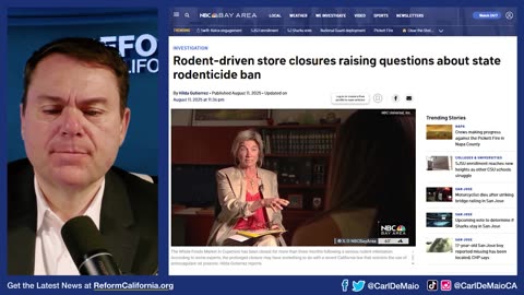 Alarming Rat Infestations! Latest Crisis in California