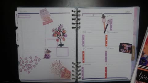October 27 - November 2 in my dashboard planner